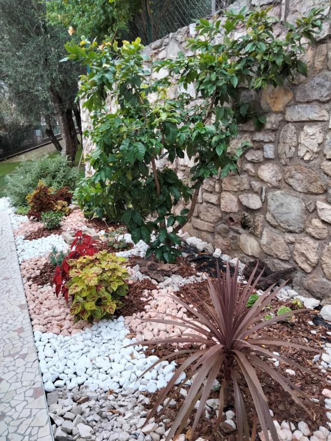 La Casa Sul Lago Apartments - Lemon Tree Apartment Limone sul Garda Exterior photo