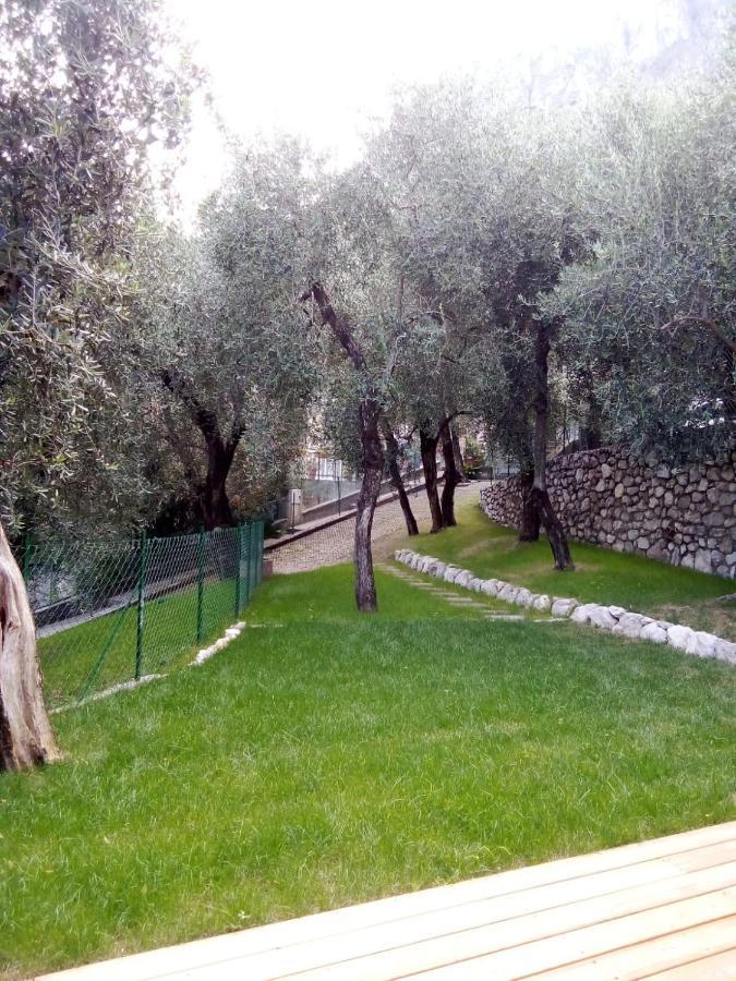 La Casa Sul Lago Apartments - Lemon Tree Apartment Limone sul Garda Exterior photo
